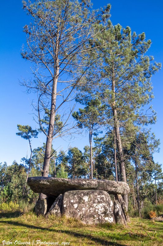 Anta da Cerqueira - Portugal 🇵🇹 (54244663304).jpg