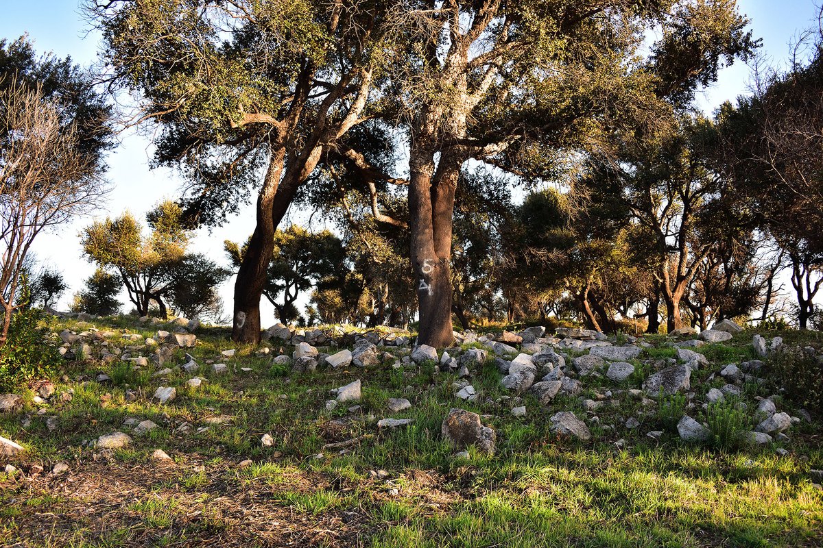 Castelo de Alferce 3 - Monchique - 08.11.2019.jpg