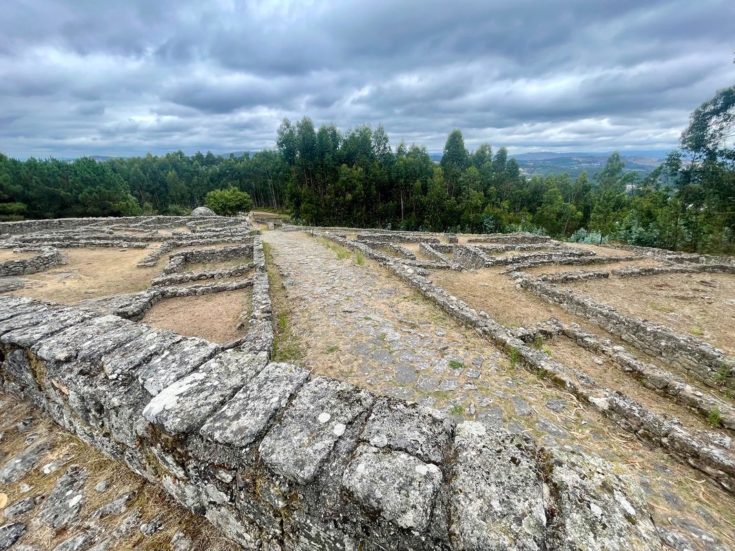 Castro Monte Mozinho - Vista xeral 2.jpg