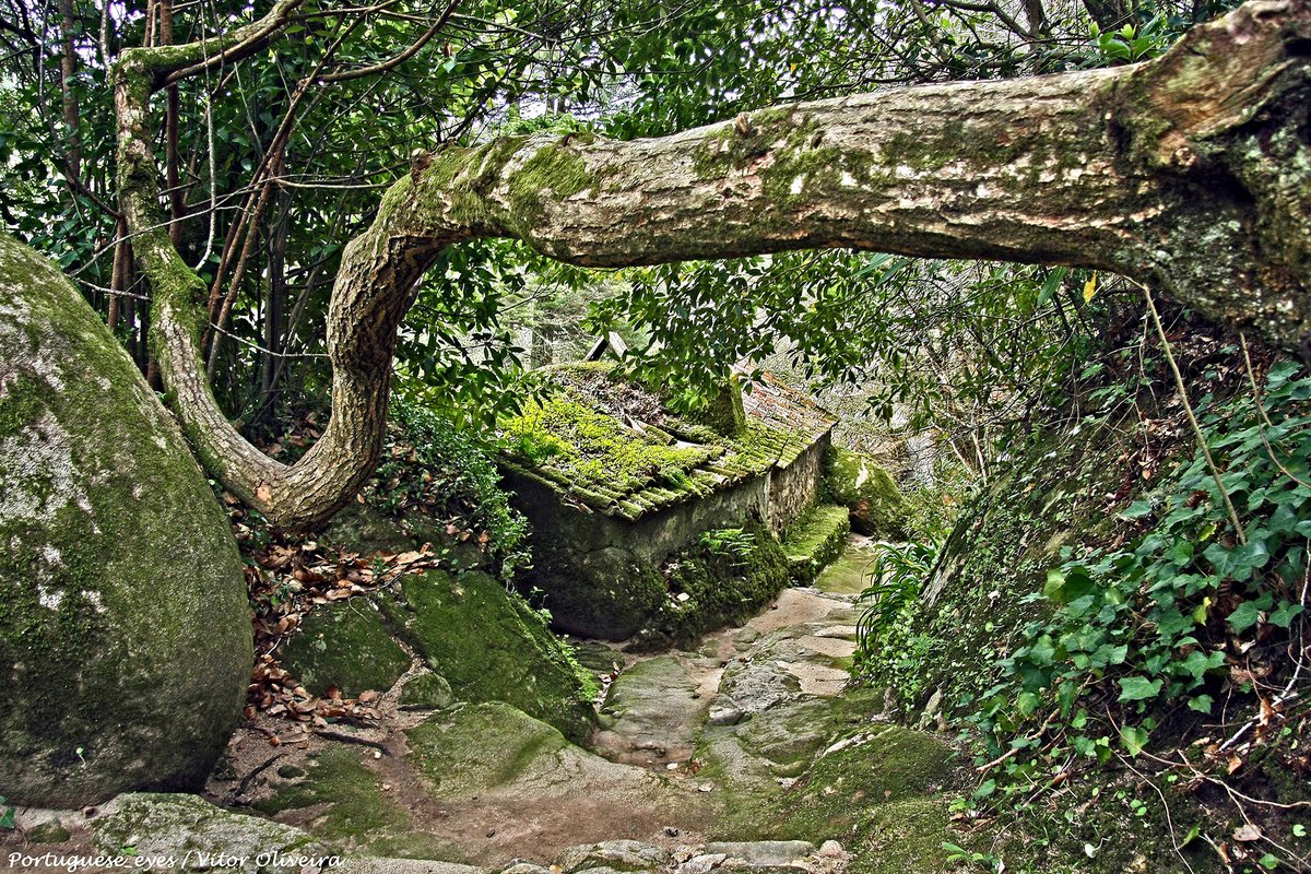 Convento dos Capuchos - Sintra - Portugal (40705943985).jpg