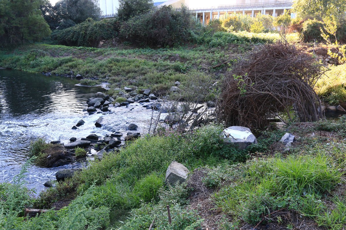 Ponte Guifões 1.jpg