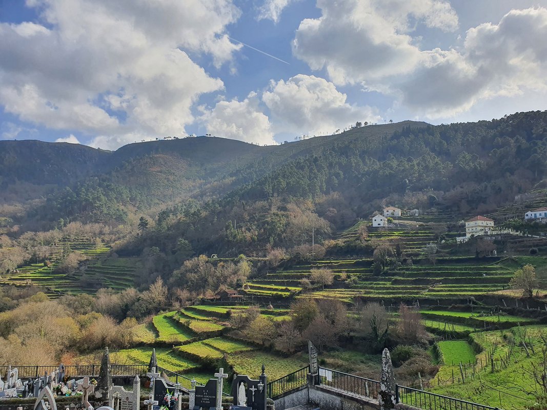 Sistelo - Socalcos.jpg