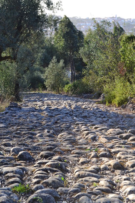 Via Romana em Alqueidão da Serra 8.jpg