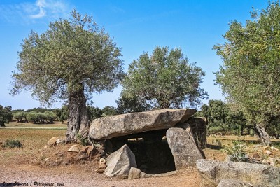 Anta 2 do Olival da Pega - Portugal (52464325444).jpg