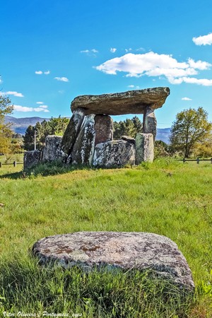 Anta da Orca - Rio Torto - Portugal (52024052792).jpg