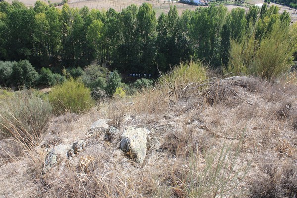 Castro de Gimonde 12.jpg