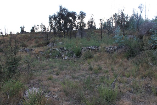 Castro de São Miguel-o-Anjo.jpg