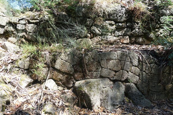 Castro de Sabroso (3).jpg