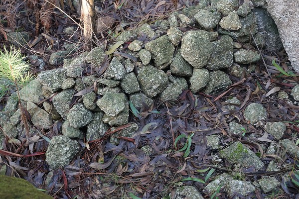 Castro do Monte Redondo (8).jpg