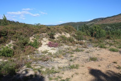 Couço do Monte Furado - Covas, Vila Nova de Cerveira - 18.jpg