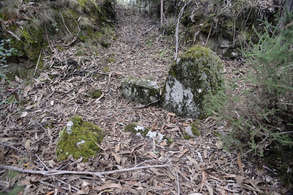 Dólmen da Aliviada 02.jpg