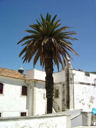 Fortaleza de Santiago - Sesimbra - Portugal (2630924775).jpg