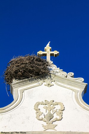 Igreja de Nossa Senhora da Soledade - Olhão - Portugal (51808353338).jpg