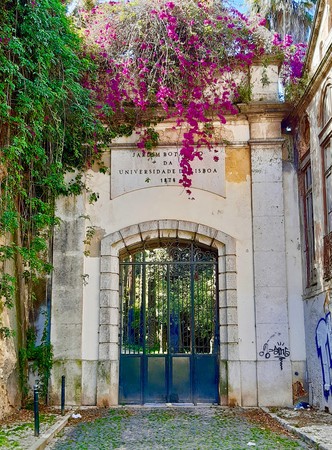 Jardim Botânico da Universidade de Lisboa.jpg