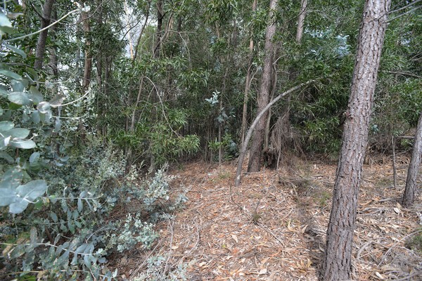 Mamoa da Quinta da Laje 01.jpg