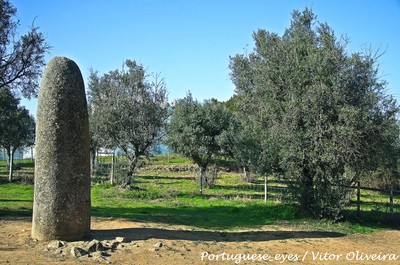 Menir dos Almendres - Portugal (7457187302).jpg