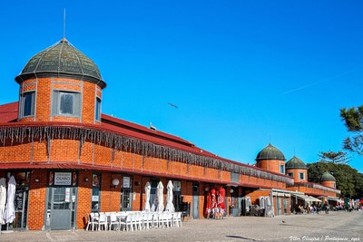 Mercado Municipal de Olhão - Portugal (52054895297).jpg