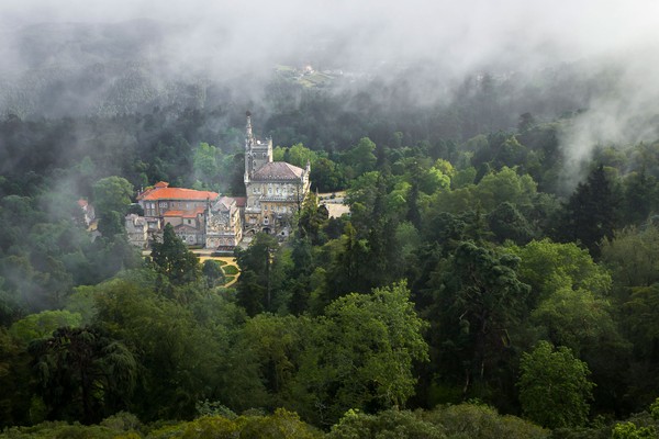 Palace Hotel do Buçaco visto desde miradouro.jpg