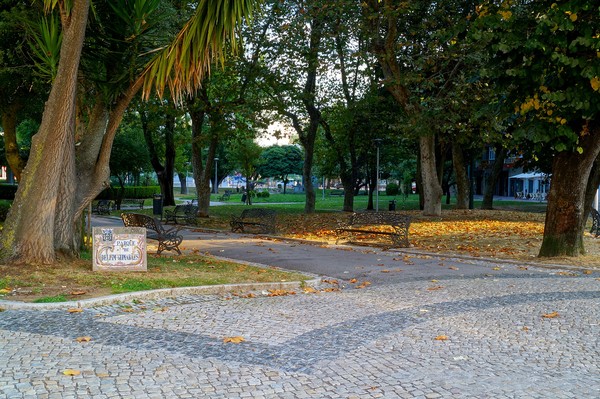 Parque de Delfim Guimaraes AMADORA PORTUGAL Photographed by Ph.G. de MENDONCA (Wikidata Q98940408).jpg