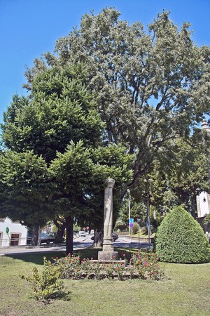 Pelourinho de Oliveira do Hospital - Portugal (5758617878).jpg