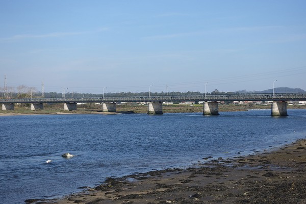 Ponte de Fão in 2017.jpg