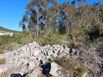 Restos de pedra na Pedreira Histórica do Caramulo.jpg