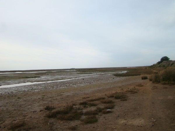 Ria Formosa - Luz de Tavira - 01.03.2019.jpg