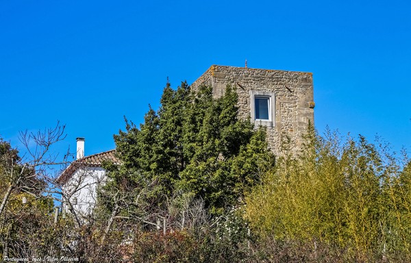 Torre dos Lafetás - Carvalhal - Portugal (51914385797).jpg