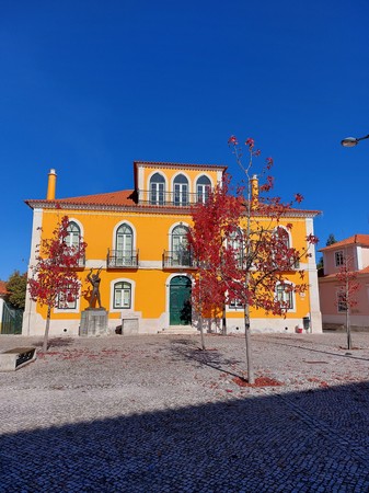Vista aproximada da Casa Taibner de Morais Santos Barosa, também denominada «Palácio dos Barosa».jpg