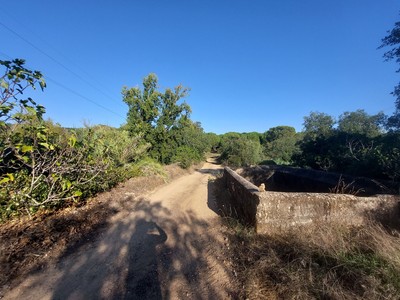 Vista para este da Ponte romana de Alferrarede ou Ponte do Olho de Boi.jpg