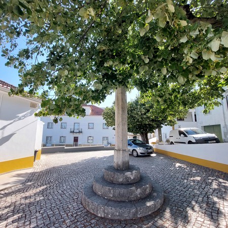 Vista para oeste do Pelourinho de Alcanede coberto pela vegetação.jpg